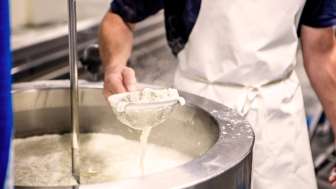 Preparate il vostro formaggio Preparate il vostro formaggio