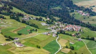 Flerden in estate