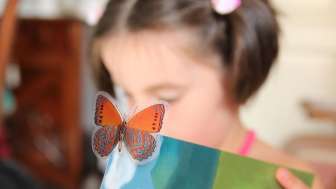 2026 Storia Leggere un libro per bambini (Pixabay)