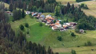 Portein in estate