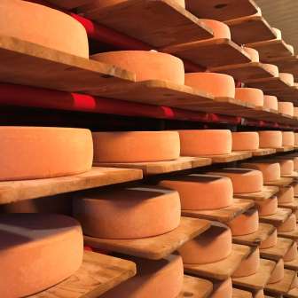La cantina dei formaggi dell'Alp dil Plaun a Feldis