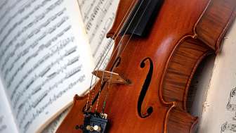 violino