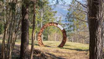 Oasi sensoriale di Petrushügel