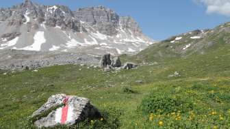 Escursione guidata al Piz Vizan