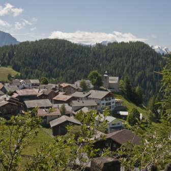 Feldis in estate