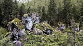 Roccia di Magic Wood
