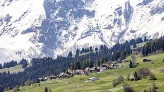 Sarn in primavera