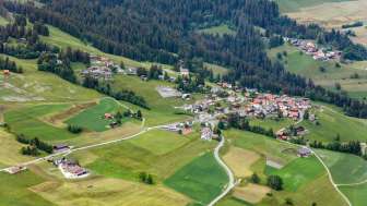 Flerden in estate