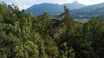 Il rudere Hasensprung a Rodels, invaso dalla vegetazione