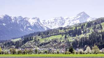 Cazis in primavera