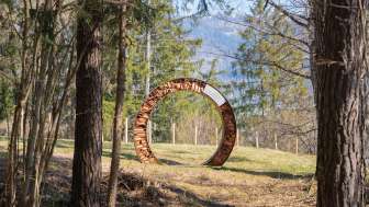 Oasi sensoriale di Petrushügel