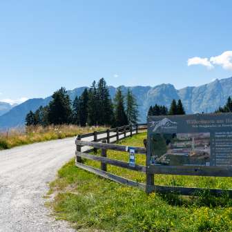 L'ingresso del parcheggio +plus+ di Sarn