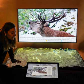 Rilievo interattivo Splügen