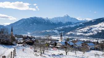 Le almeni in primavera