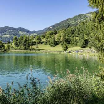 Canovaccio Paspels