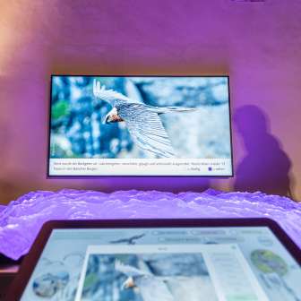 Rilievo interattivo Splügen