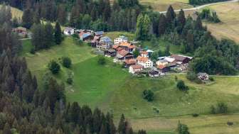 Portein in estate