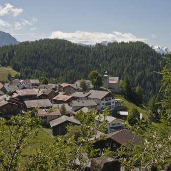 Feldis in estate