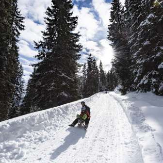 La pista per slittini Dros sullo Schamserberg