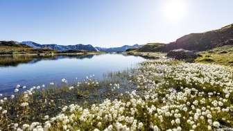 Il Flüeseen nelle Avers