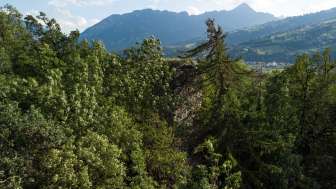 Il rudere Hasensprung a Rodels, invaso dalla vegetazione