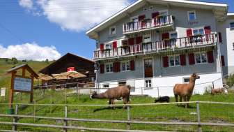 La locanda Alpina a Tschappina sull'Heinzenberg La locanda Alpina a Tschappina sull'Heinzenberg