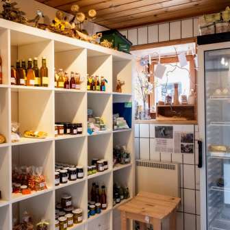 La Stizunetta Feldis