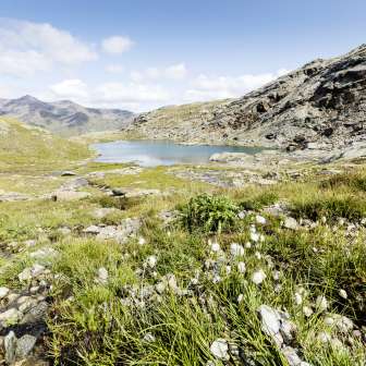 L'alto Schwarzsee sopra la Valle Madrisa nell'Avers