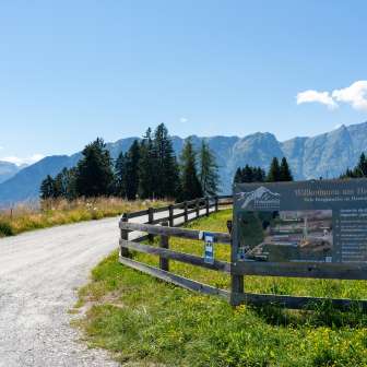 L'ingresso del parcheggio +plus+ di Sarn