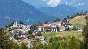 Feldis in estate
