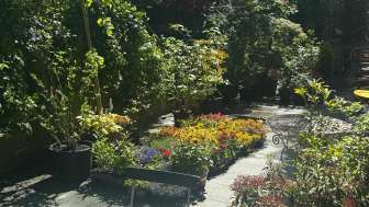 Giardino termale Rothenbrunnen nel cuore della città (2026)
