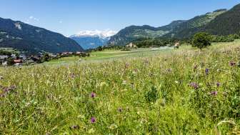 Pratval in primavera