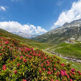 Il Berghaus Splügenpass in primavera