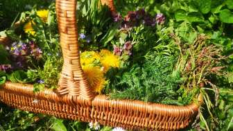 2024 Il tartaro incontra la pentola