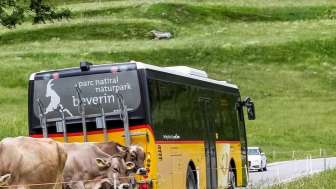 Autopostale Schamserberg